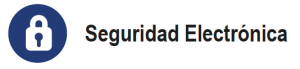 Seguridad Electronica